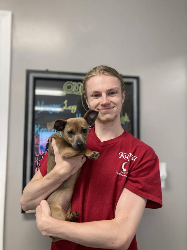 Cole , kennel attendant